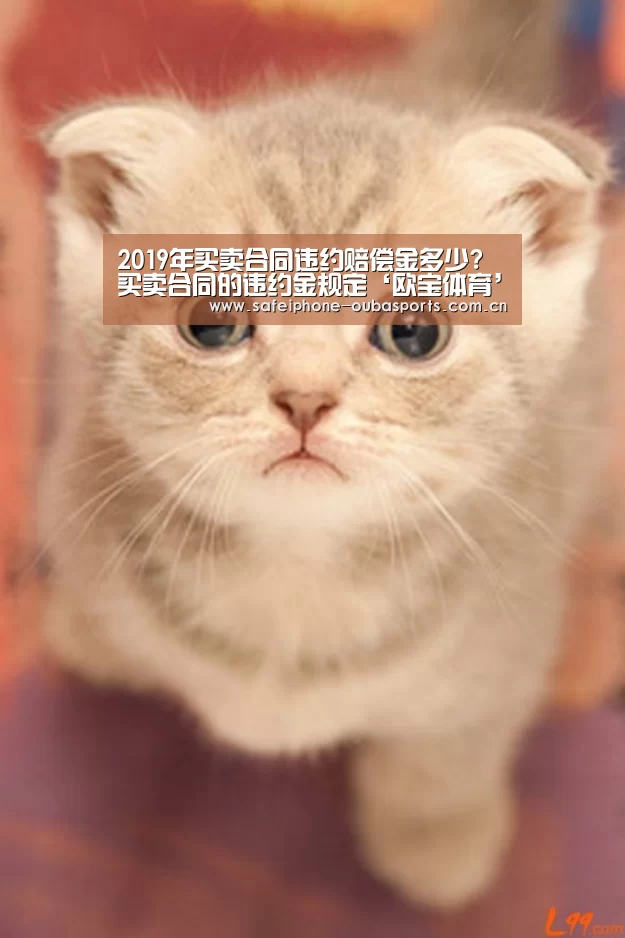 2019年买卖合同违约赔偿金多少?买卖合同的违约金规定‘欧宝体育’(图2) 欧宝体育