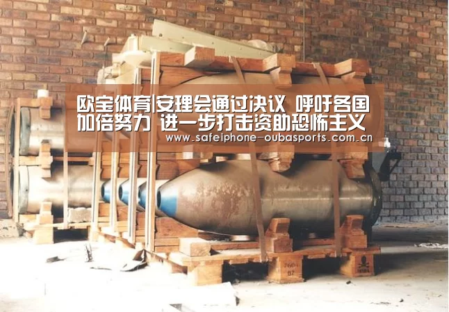 欧宝体育|安理会通过决议 呼吁各国加倍努力 进一步打击资助恐怖主义行为(图1) 欧宝体育