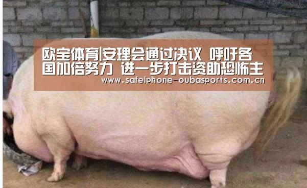 欧宝体育|安理会通过决议 呼吁各国加倍努力 进一步打击资助恐怖主义行为(图2) 欧宝体育