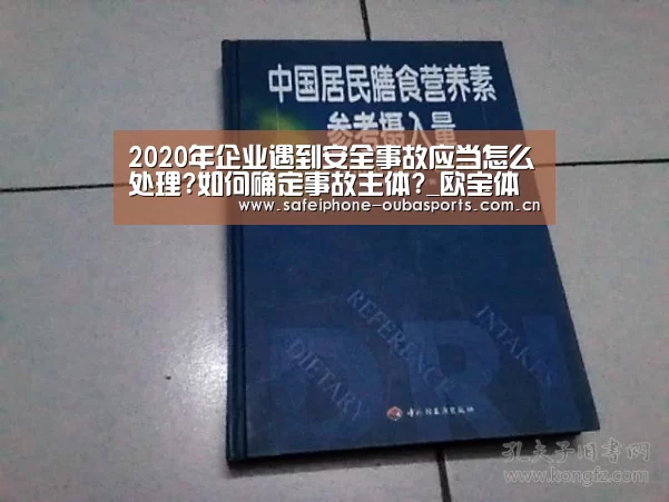 2020年企业遇到安全事故应当怎么处理?如何确定事故主体?_欧宝体育(图3) 欧宝体育